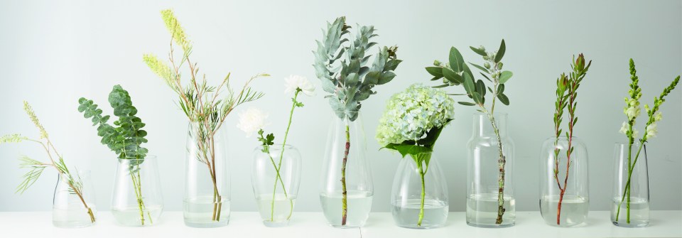 Website Layout-01.jpg